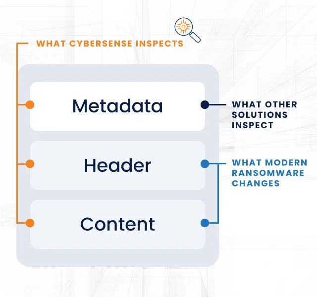 what cybersense inspects